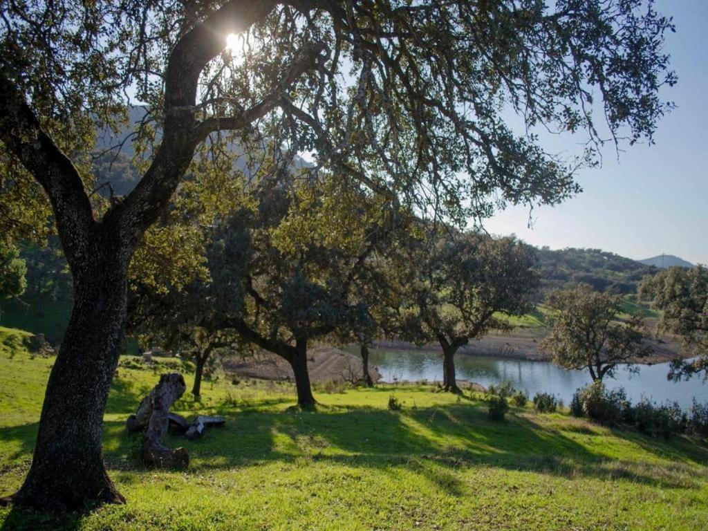 Finca La Vicaria Palomar Zufre Esterno foto