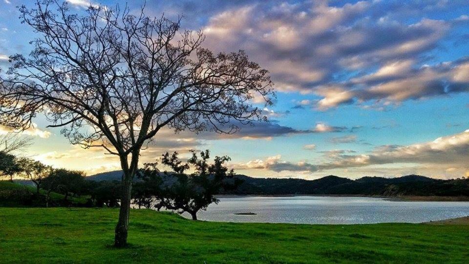 Finca La Vicaria Palomar Zufre Esterno foto